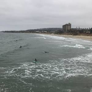 Meet your Posher, Fahimeh